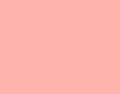 LTH PRO.fessional Farbfilter 111 Dark Pink