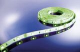KAPEGO LED Stripe green 5m 12V IP55 150 LEDs