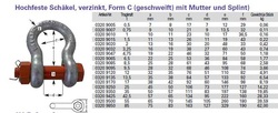 Schäkel  MuS 7/8 “ WLL 6500 kg mit Mutter und Spli