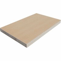 LTH PRO.fessional Indoor Stage Floor beech wood block for stage  podium 200 x 100 cm